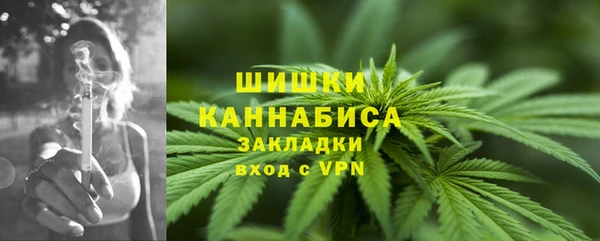 дмт Гусь-Хрустальный