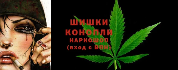 дмт Гусь-Хрустальный